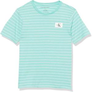imageCalvin Klein Boys Short Sleeve Striped Crew Neck TShirt Soft Comfortable Relaxed FitLinear Seafoam Fb38