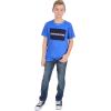 imageCalvin Klein Boys Short Sleeve Legacy Graphic Crew Neck TShirtWashed Prince Blue