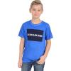 imageCalvin Klein Boys Short Sleeve Legacy Graphic Crew Neck TShirtWashed Prince Blue