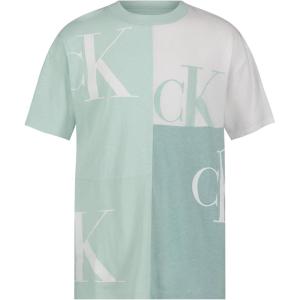 imageCalvin Klein Boys Short Sleeve Legacy Graphic Crew Neck TShirtBlock Party Lt Sage Heather