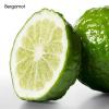 imageCalvin Klein Calvin Klein Deodorant 2 6 OzCitrus
