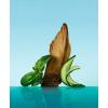 imageCalvin Klein Eternity Aqua Eau De Toilette  Woody Mens Cologne  With Notes of Cucumber Sage ampamp Sandalwood  Long Lasting Fragrance67 Fl Oz Pack of 1