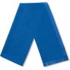 imageCalvin Klein womens Satin Border Chiffon ScarfKlein Blue
