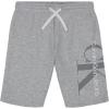 Big Graphic Grey Heather