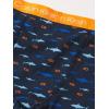 imageCalvin Klein Boys 2 Pack Boxer Briefs  Premium Cotton ComfortBlue BellVictoria Blue Tie Dye
