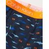 imageCalvin Klein Boys 2 Pack Boxer Briefs  Premium Cotton ComfortBlue BellVictoria Blue Tie Dye