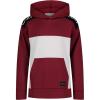 imageCalvin Klein boys Long Sleeve Pullover Fleece HoodiePerformance Red