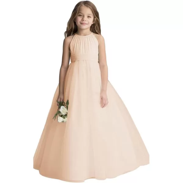 Abaowedding Flower Girls Tulle Chiffon Dresses Kids Wedding Party Pageant Ball GownsChampagne