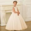imageFlower Girl Dress for Wedding First Communion Dress Puffy Tulle Kids Pageant Ball GownsChampagne