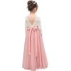 image:imageAbaowedding Lace VBack Flower Girl Dress Tutu Tulle Princess Party Dress with Satin SashPink Long Sleeves