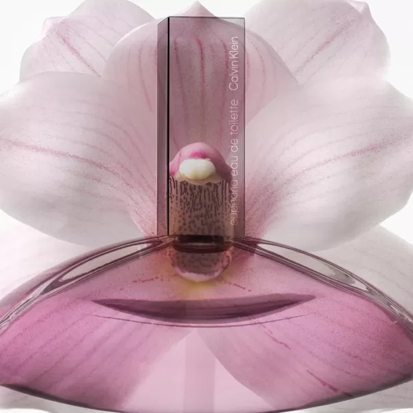 Calvin Klein Euphoria Eau de Toilette  Womens Gourmand Perfume  With Notes of Sparkling Plum Orchid Accord ampamp Warm Vanilla  Luxury Perfumes for Women  Long Lasting Fragrance67 Fl Oz Pack of 1