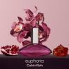 imageCalvin Klein Euphoria Eau de Parfum  Chypre Womens Perfume  With Notes of Pomegranate Black Orchid Lotus Blossom ampamp Mahogany Wood  Long Lasting Fragrance33 Fl Oz Pack of 2