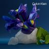 image:imageCalvin Klein Ck One Night Essence Parfum  Amber Unisex Fragrance  With Notes of Iris Patchouli and Musks167 Fl Oz Pack of 1