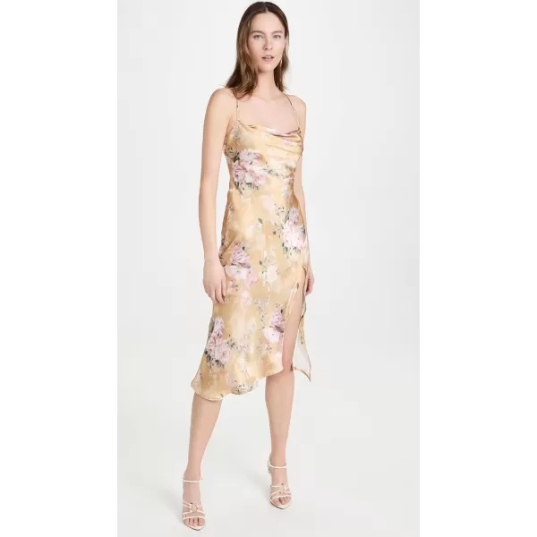 ASTR the label Womens Gaia DressMustard Floral