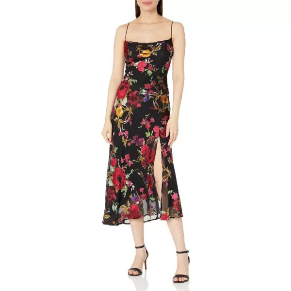 ASTR the label Womens Gaia DressBlack Red Floral