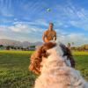 imageInsta360 GO 3GO 3S Pet Harness Mount Size SSize M