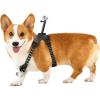imageInsta360 GO 3GO 3S Pet Harness Mount Size SSize M