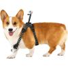 imageInsta360 GO 3GO 3S Pet Harness Mount Size SSize S