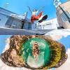 imageInsta360 ONE X2360 Degree Waterproof Action Camera 57K 360 Stabilization Touch Screen AI Editing Live Streaming Webcam Voice Control Ultimate Kit