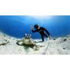image:imageINSTA360 Invisible Dive CASE for X3 Action Camera