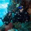 imageTUSA SP0101 Hyperdry Elite II Scuba Diving SnorkelBlack