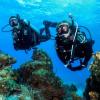 imageTUSA SP0101 Hyperdry Elite II Scuba Diving SnorkelBlackBronze