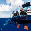 imageTUSA SP0101 Hyperdry Elite II Scuba Diving SnorkelBlackFishtail Blue