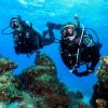 imageTUSA SP0101 Hyperdry Elite II Scuba Diving SnorkelBlackFishtail Blue