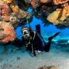 imageTUSA SP0101 Hyperdry Elite II Scuba Diving SnorkelBlackFishtail Blue
