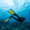 imageTUSA SF0111 Hyflex Zoom Scuba Diving FinsWhiteWhite