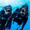 imageTUSA M1002 Freedom Tina Scuba Diving MaskBougainvillea Pink