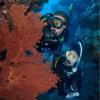 imageTUSA M1007 Paragon S Scuba Diving MaskBlack