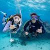 imageTUSA M1010S Zensee Pro Scuba Diving MaskBlack