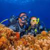 imageTUSA M212 Freedom Ceos Scuba Diving MaskFishtail Blue