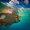 imageTUSA M212 Freedom Ceos Scuba Diving MaskFlash Yellow
