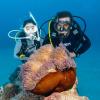 imageTUSA RS609 Scuba Diving RegulatorWhite