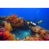 imageTUSA SF0101 Hyflex Vesna Scuba Diving FinsBlack