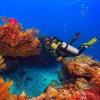 imageTUSA SF0101 Hyflex Vesna Scuba Diving FinsFlash Yellow