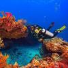 imageTUSA SF0101 Hyflex Vesna Scuba Diving FinsFlash Yellow