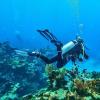 imageTUSA SF22 Solla Open Heel Scuba Diving FinsBlack