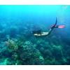 imageTUSA SF22 Solla Open Heel Scuba Diving FinsBlack