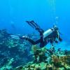 imageTUSA SF22 Solla Open Heel Scuba Diving FinsSiesta GreenWhite