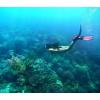imageTUSA SF22 Solla Open Heel Scuba Diving FinsSiesta GreenWhite