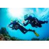 imageTUSA SF22 Solla Open Heel Scuba Diving FinsSiesta GreenWhite