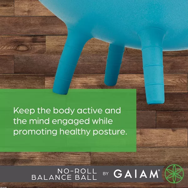 Gaiam 05-64866