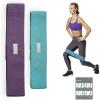 imageGaiam Restore Booty Bands Resistance Loops Hip Band Circle Set of 2 Elastic Glute Bands for Women ampamp Men in Progressive Resistance for Legs Butt Thigh Squats Ankle Exercise Guide Included1 EA