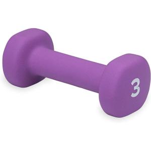 imageGaiam Dumbbell Hand Weight Sold in Singles  Neoprene Coated Exercise ampamp Fitness Dumbbell for Home Gym Equipment Workouts Strength Training Free Weights for Women MenA Purple  3Pound