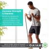 imageGaiam Restore Resistance Training Workout Pull Up Bands 3 Pack  ExtraStrong Durable Progressive Resistance Exercise Loop Cords for Assisted Pull Ups and Strength Bands Training