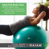 imageGaiam Total Body Exercise Balance Stability Yoga Ball AntiBurst with Air Pump for Home Office Chair and Fitness  Various SizesBlue