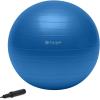 imageGaiam Total Body Exercise Balance Stability Yoga Ball AntiBurst with Air Pump for Home Office Chair and Fitness  Various SizesBlue
